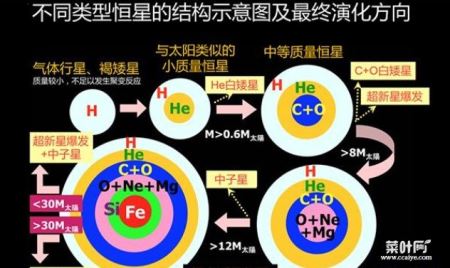 当恒星的燃料耗尽，不再产生核聚变恒星会怎么样呢？