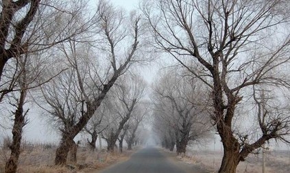 新中国成立后的十大悍匪简介，各个都是杀人如麻的刽子手