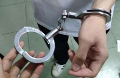 笑麻了！甘肃警方破获非法捕蝎大案，网友神评笑死!