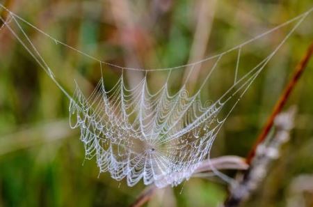 循迹商代中期都城：这座三千多年前的城市有哪些秘密？