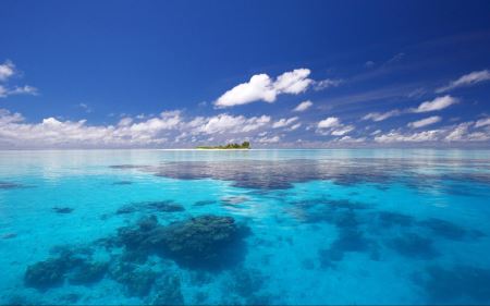 每日生肖运势6月2日吉时 生肖运势天天看6月19日是什么意思？