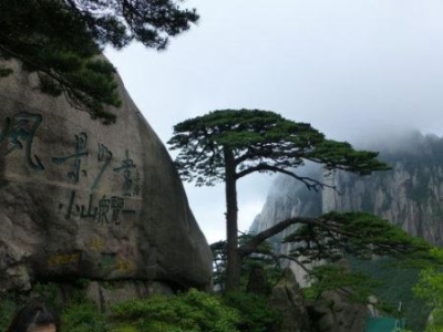 梦见狂风暴雨打进家里