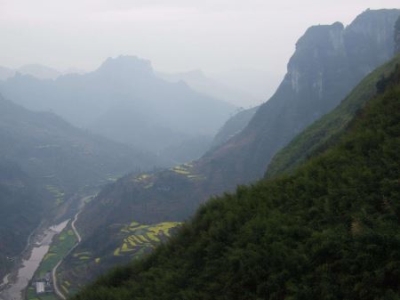 生肖狗女爱错人的指数