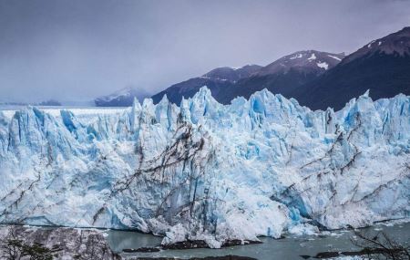 土-假如“蚁后”死了 剩下的蚂蚁会变得怎么样