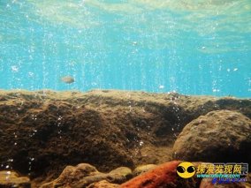 人类生命起始并非海洋？海底火山口有可能才是人类起源