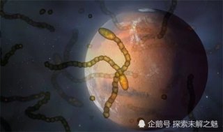 专家建议应该把微生物送到火星，协助改造这个星球