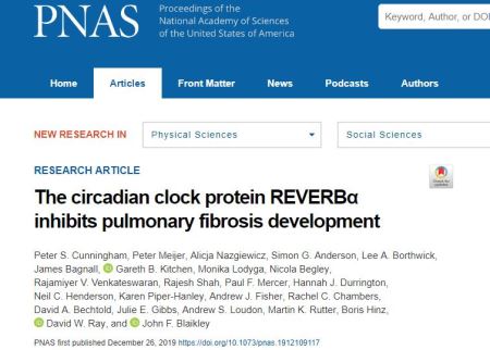 PNAS：睡眠时间过长或过短，都易导致肺纤维化