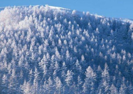 炎炎夏日，中国的北极竟然下雪了