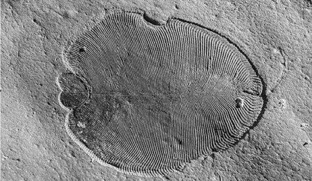 过去十年20个科学重大发现：发现数千颗系外行星 探测首个引力波