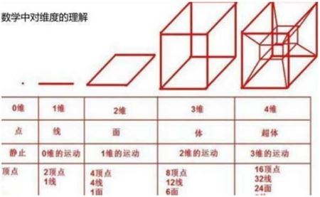 二维生物蚂蚁或是人类进入高维空间的突破口