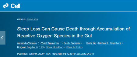 还在熬最长的夜？Cell：长期睡眠不足致死，问题在于肠道