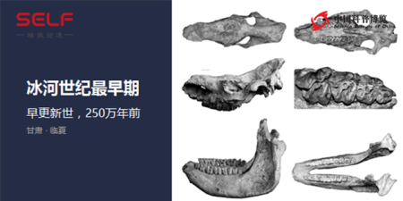 中国科学家推翻达尔文猜想：冰河世纪物种起源于西藏？