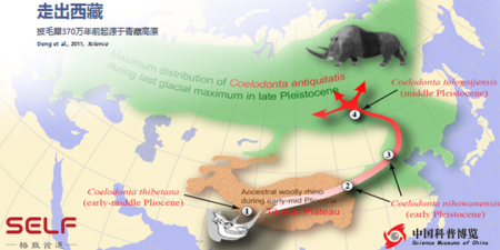 中国科学家推翻达尔文猜想：冰河世纪物种起源于西藏？