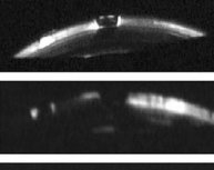 土耳其UFO事件：两个不明生物现身