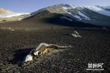 昆仑山死亡谷地狱之门灵异事件 死亡谷的真实案列