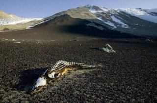 昆仑山死亡谷地狱之门灵异事件 死亡谷的真实案列