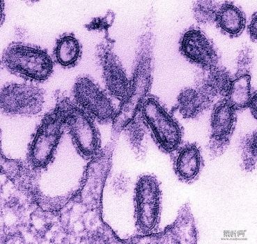 1918年“西班牙流感”造成全球5亿人感染 夺走9000万条性命