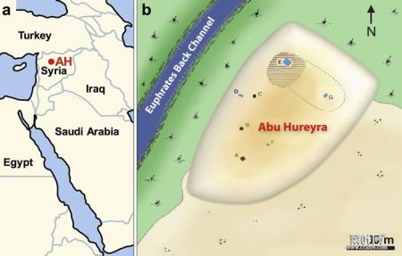 敍利亚北部的阿布胡赖拉考古新证据 彗星撞毁人类最早定居地