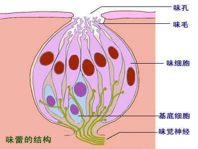 视力听力嗅觉味觉下降啥原因 听力突然下降的原因