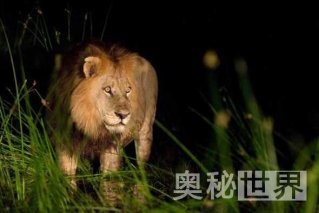 世界最大自然保护区：卡沙自然保护区（图）