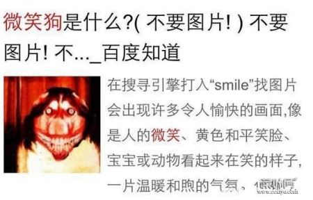 微笑狗是什么，微笑狗恐怖图片(背后超恐怖故事/惊悚)