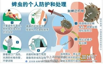 风油精治蜱虫么 蜱虫叮咬后如何治