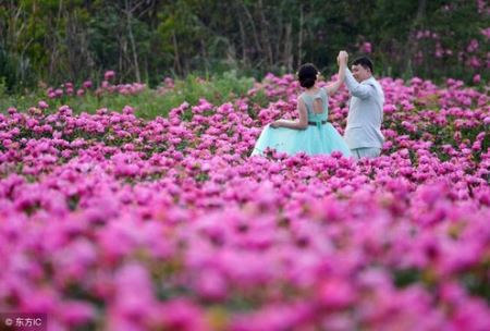 两性心理：男人与女人，截然不同的婚姻态度