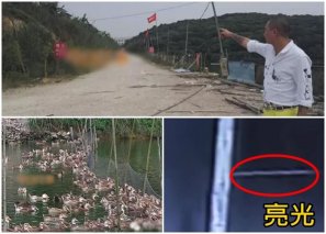 不明飞行物外星生物降临？广东省东莞市寮步镇农庄凌晨现怪光 千只动物受惊惨叫