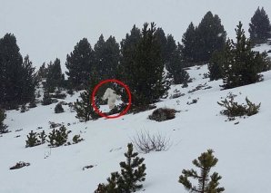 西班牙滑雪圣地出现疑似UFO“喜马拉雅山雪人”（Yeti） 迅速穿过树林