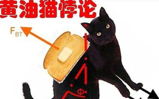 黄油猫悖论真的假的，专家称永动机不存在(猫先着地)