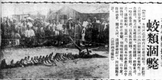 1934年辽宁营口坠龙事件，真实报道过的龙骨迷踪