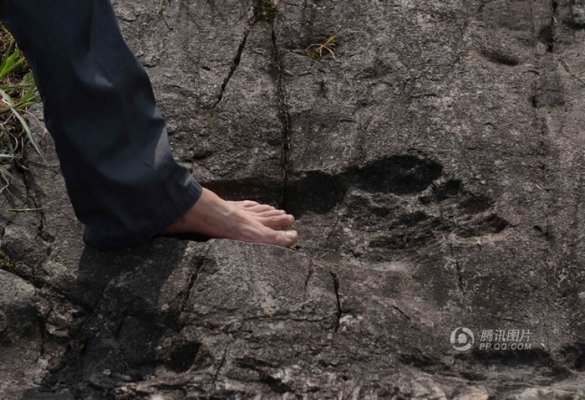 贵州省黔东南苗族侗族自治州从江县加榜乡平彦村巨石上惊现“巨人脚印”