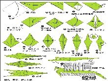 人民币折纸螳螂图解 人民币折纸大全图解