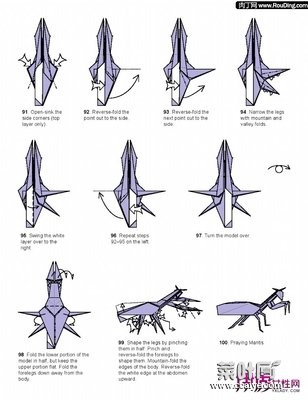 高级折纸螳螂图解 折纸王子折螳螂