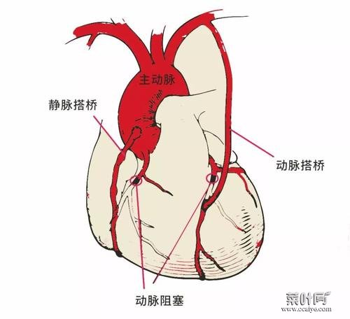 感觉全身血管在跳动如何回事 全身感觉冷如何回事