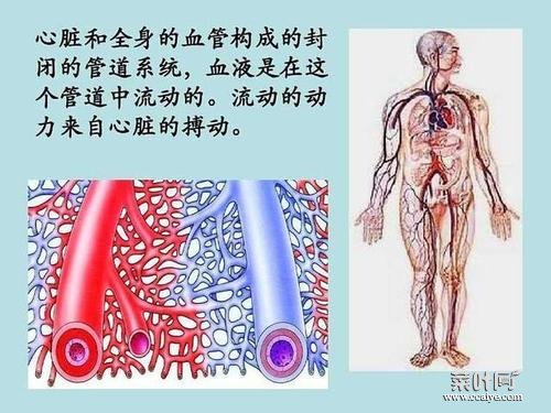 感觉全身血管在跳动如何回事 全身感觉冷如何回事