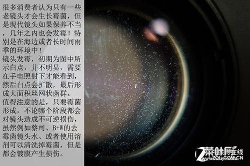 镜头霉菌杀死后还会再生吗 鱼杀死后还动如何处理