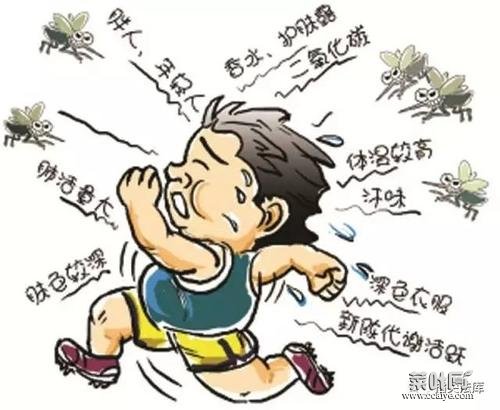 大蒜是防蚊子的还是惹蚊子 为啥蚊子刚吸了血打死却没血