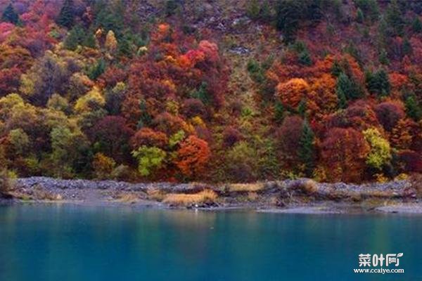 四川米亚罗红叶风景区最佳旅游时间 自驾游攻略