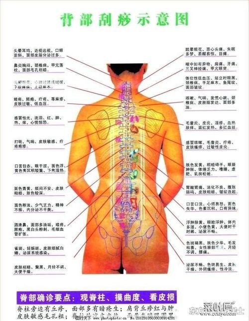 背部有个凸起的包图片 背部长了个硬包图解