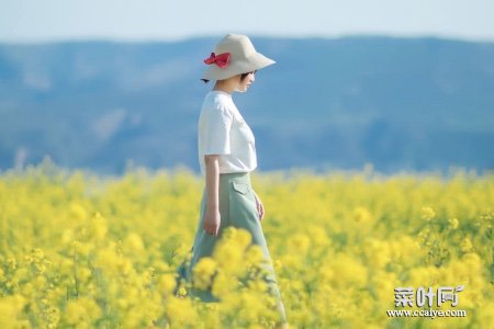 谈恋爱初期如何聊天 初次聊天话术900句