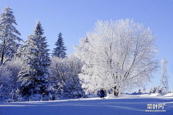 吉林冬季旅游景点攻略 赏雪景好去处