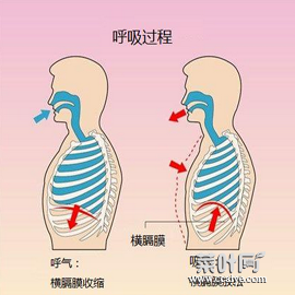 下腹部按着特别硬 右下腹按压感觉有硬物