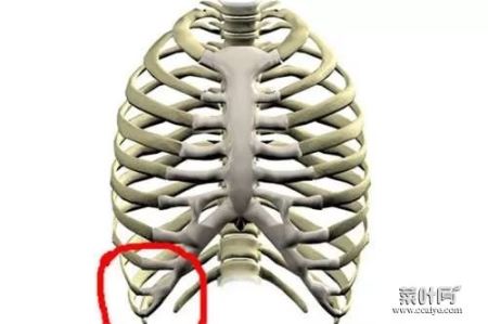 肋骨一按就疼怎么回事 左下肋骨一个点按压痛