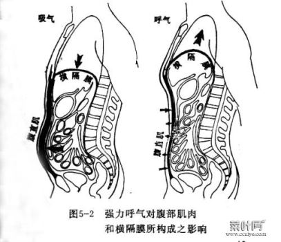 肋骨一按就疼怎么回事 左下肋骨一个点按压痛