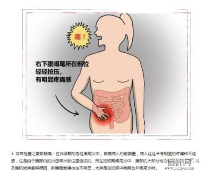 按压肚子有轻微疼痛 按压小肚子有轻微疼痛