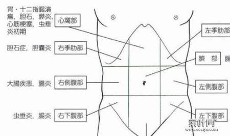 按压肚子有轻微疼痛 按压小肚子有轻微疼痛