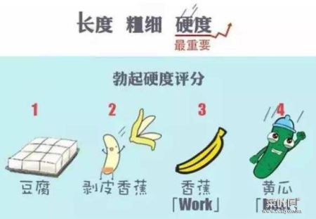 初三男生丁丁发育了吗？下面发育的多大？丁丁的正确测量方法