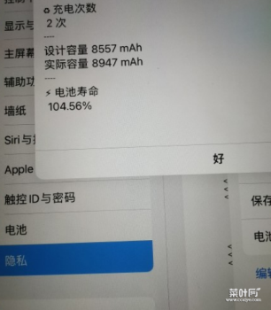 ipad2020如何查电池寿命2