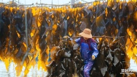 霞浦地道美食介绍